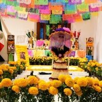 La Secretaría De Cultura Y El Inbal Celebran Día De Muertos Con Ofrendas, Visitas…
