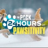 Amazon's THE PACK Presents 24 Hours of Pawsitivity
