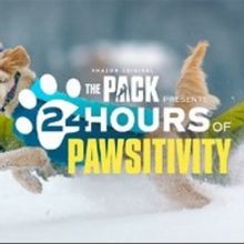 Amazon's THE PACK Presents 24 Hours of Pawsitivity