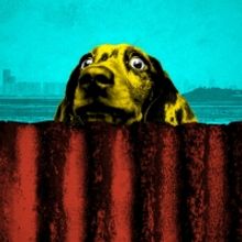 THE BORDER Will Embark on UK Tour