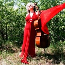 Hershey Symphony Orchestra Presents Cello Concert