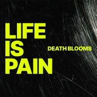 Adventure Cat Records Signs UK Rockers Death Blooms