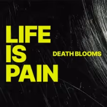 Adventure Cat Records Signs UK Rockers Death Blooms