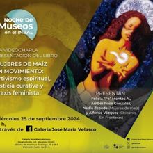 Charlas, Conciertos, Actividades Híbridas, Libros Y Más En La Noche De Museos De Se