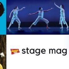 AS YOU LIKE IT, A NEW BRAIN & More - Check Out This Week's Top Stage Mags