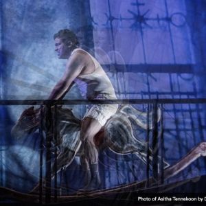 Tapestry Opera's ROCKING HORSE WINNER to Return in November Interview