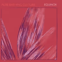 Pure Bathing Culture Announce New Acoustic EP 'Equinox'