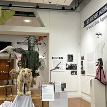 The Ballard Institute Will Host A UConn Puppet Arts Alumni Puppet Forum