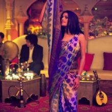 BWW Review: FALU: A JOURNEY THROUGH INDIA  at Kennedy Center