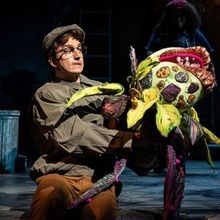 Sneak Peek! LITTLE SHOP OF HORRORS Now Playing at Paramount Theatre