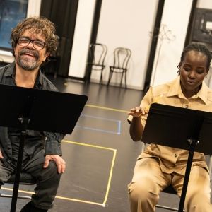 Free Shakespeare in the Park's TWELFTH NIGHT Begins Next Week
