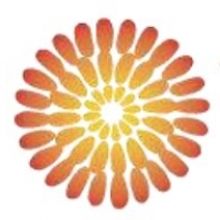 Utopia Theatre Launches The Creative Hub Online Partnering With Sheffield Theatres