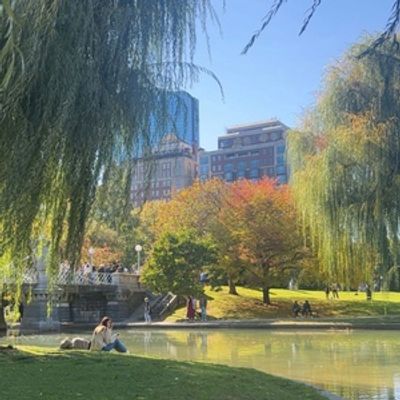 Student Blog: I'm Shipping (Back) Up To Boston