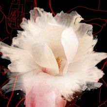 Oxygen True Crime to Premiere THE PIKE COUNTY MURDERS: A FAMILY MASSACRE