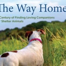 THE WAY HOME: A CENTURY OF FINDING LOVING COMPANIONS FOR SHELTER ANIMALS Documentary 