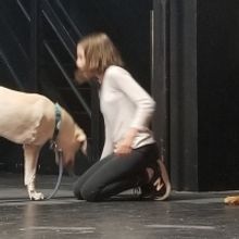 Three-Legged Therapy Dog To Make Stage Debut In ANNIE