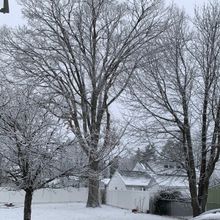 Student Blog: My Goals For 2024