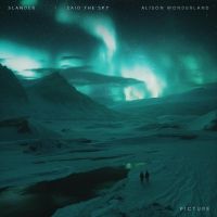 SLANDER, Alison Wonderland, and Said the Sky Release Massive Collab 'Picture'