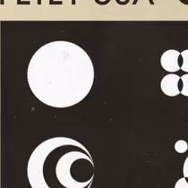 PETEY USA Releases New Song I WILL DO THE OPPOSITE