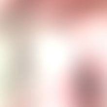 Cabaret Fringe Festival Returns For 2020