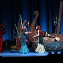 Stages Theatre Presents THE LITTLE MERMAID JR on Stage Now