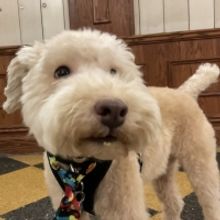 Theatre Rhinoceros and The Essential Services Project to Present SPENSER by John Fish