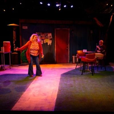 Review: WILD HORSES at Penfold Theatre