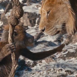 MUFASA: EL REY LEÓN estrena su primer teaser y póster