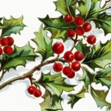 The Gift Of Art: Robin Jess Botanical Illustration Workshop