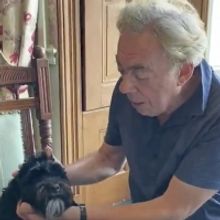 VIDEO: Andrew Lloyd Webber and His Dog, Mojito, Sing 'How Much Is That Doggy in the W