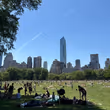 Student Blog: The End of Junior Year Photo