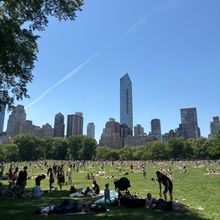 Student Blog: The End of Junior Year