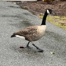 Student Blog: First Month of the Semester!