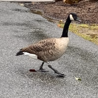 Student Blog: First Month of the Semester!