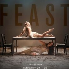 The Spitfire Presents FEAST At Here Arts Center