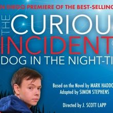 Spotlight: THE CURIOUS INCIDENT OF THE DOG IN THE NIGHT-TIME at California Center for