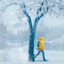 BWW Blog: When You Have The Winter Blues