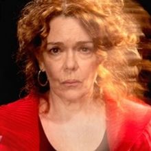 Vineyard Theatre Suspends DANA H. Performances Through March 31