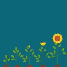 Student Blog: Growing on My Own Timeline