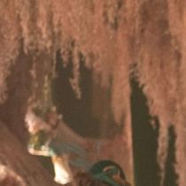 Listen to the WICKED: FOR GOOD Soundtrack with Cast and Filmmaker Commentary