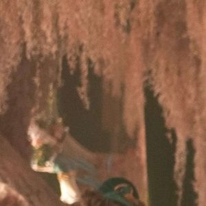 Listen to the WICKED: FOR GOOD Soundtrack with Cast and Filmmaker Commentary