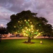 Museum of Contemporary Art, North Miami Restores 'Electric Tree' Public Artwork