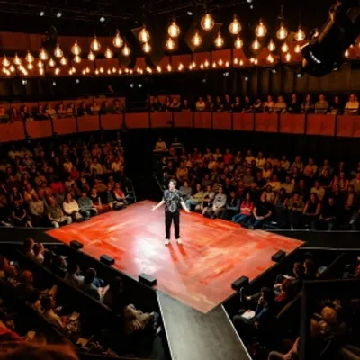 Review: EVERY BRILLIANT THING, Starring Sue Perkins, @sohoplace