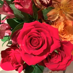 Valentine's Day–Think Differently with Fun Ideas and Special Gifts for Loved Ones