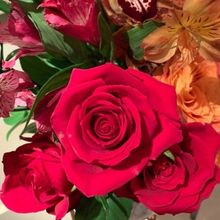 Valentine's Day–Think Differently with Fun Ideas and Special Gifts for Loved Ones