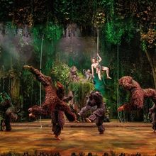 TARZAN Opens at The REV Theatre Company in Auburn