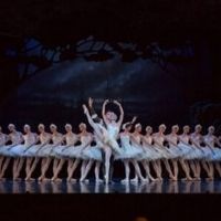 Queensland Ballet Presents Ben Stevenson's SWAN LAKE