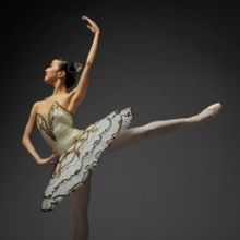 National Ballet Of Japan's New Year Ballet to Stream For Free Online