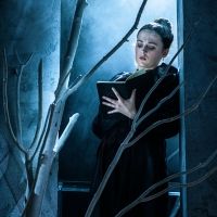 BWW Review: FRANKENSTEIN, Richmond Theatre