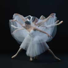 Previews: CLEVELAND BALLET IN GISELLE at Connor Palace
